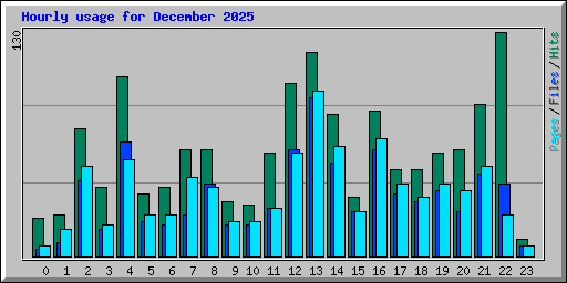 Hourly usage for December 2025