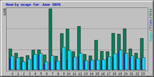 Hourly usage for June 2026