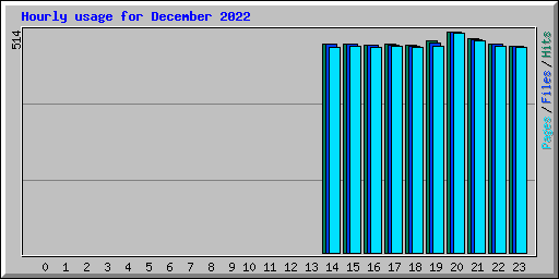 Hourly usage for December 2022