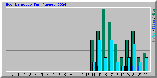 Hourly usage for August 2024