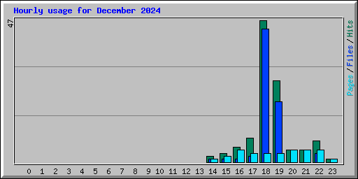 Hourly usage for December 2024