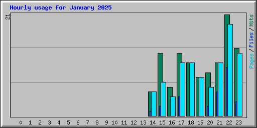 Hourly usage for January 2025