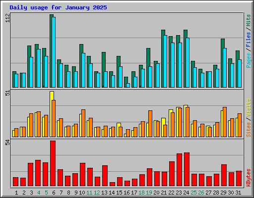 Daily usage for January 2025