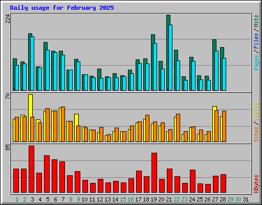 Daily usage for February 2025