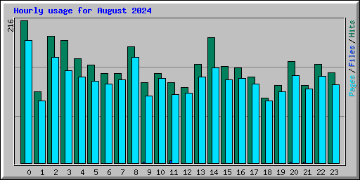 Hourly usage for August 2024