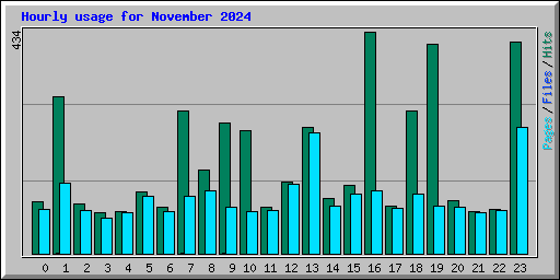 Hourly usage for November 2024