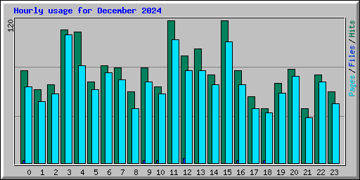 Hourly usage for December 2024
