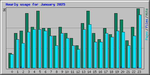 Hourly usage for January 2025