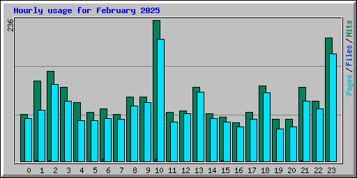 Hourly usage for February 2025