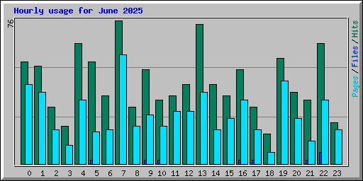 Hourly usage for June 2025