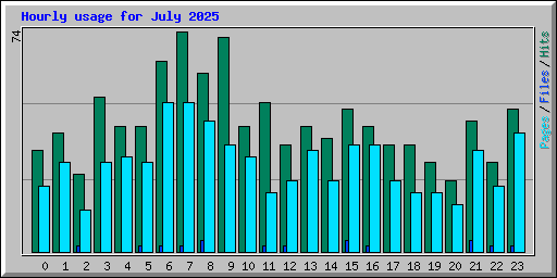 Hourly usage for July 2025