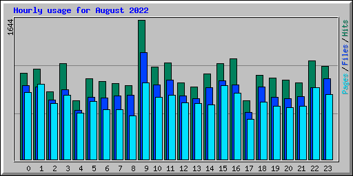 Hourly usage for August 2022