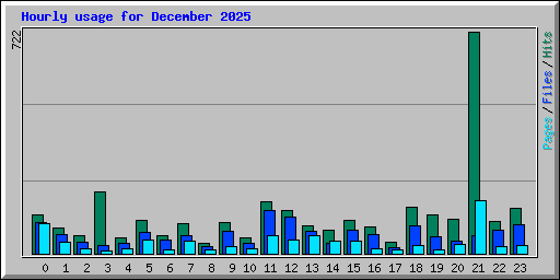 Hourly usage for December 2025