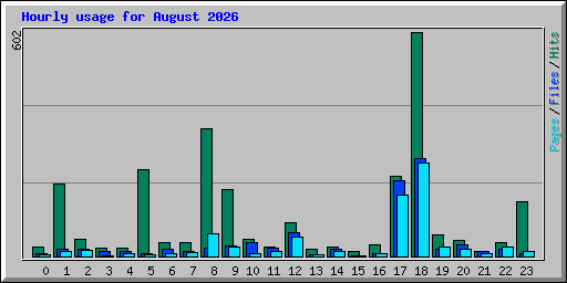 Hourly usage for August 2026