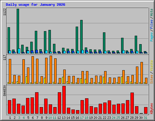 Daily usage for January 2026