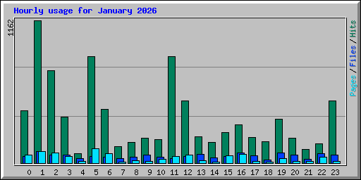 Hourly usage for January 2026