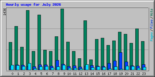 Hourly usage for July 2026