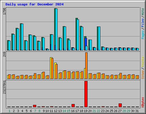 Daily usage for December 2024