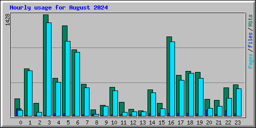 Hourly usage for August 2024