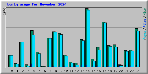 Hourly usage for November 2024