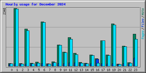 Hourly usage for December 2024