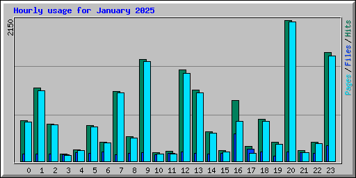 Hourly usage for January 2025