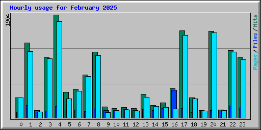 Hourly usage for February 2025