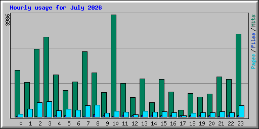 Hourly usage for July 2026