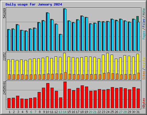 Daily usage for January 2024