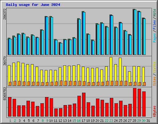 Daily usage for June 2024