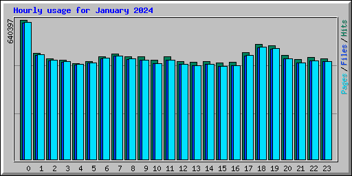 Hourly usage for January 2024