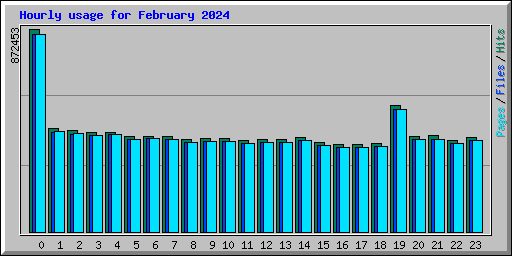 Hourly usage for February 2024