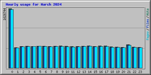 Hourly usage for March 2024