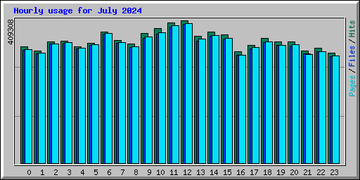 Hourly usage for July 2024