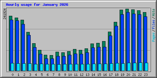 Hourly usage for January 2026
