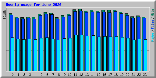 Hourly usage for June 2026
