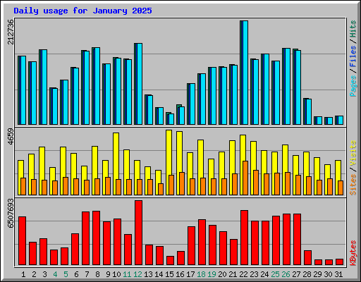 Daily usage for January 2025