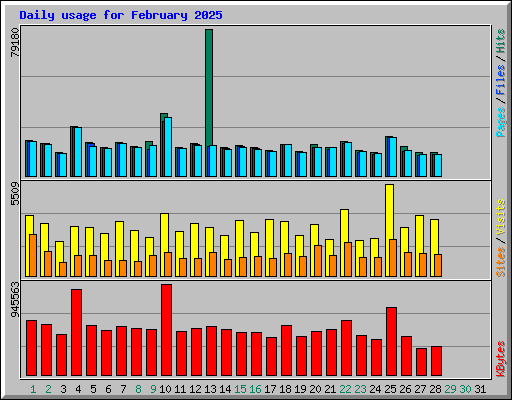 Daily usage for February 2025