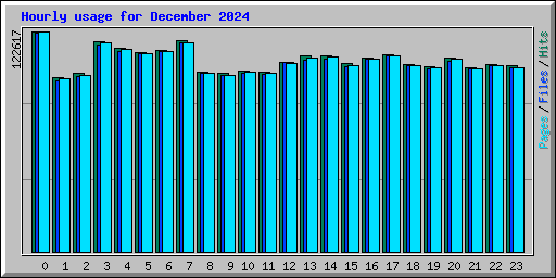 Hourly usage for December 2024