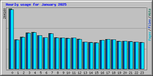 Hourly usage for January 2025