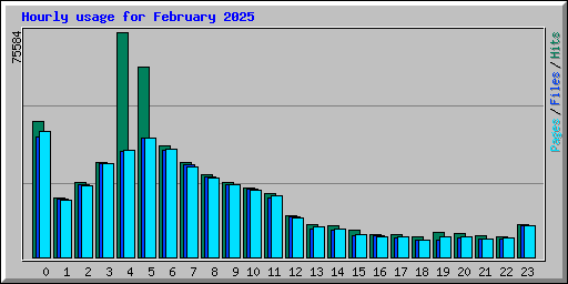 Hourly usage for February 2025