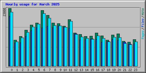 Hourly usage for March 2025