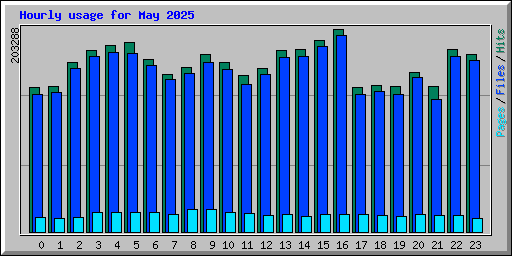 Hourly usage for May 2025