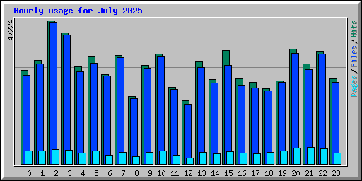 Hourly usage for July 2025