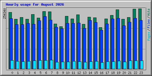 Hourly usage for August 2026