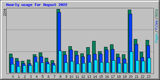 Hourly usage for August 2022