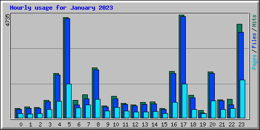 Hourly usage for January 2023