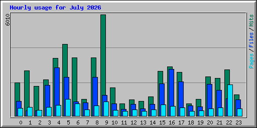Hourly usage for July 2026