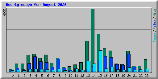 Hourly usage for August 2026