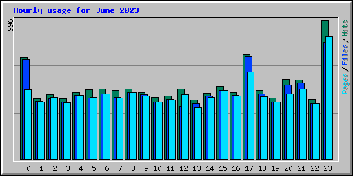 Hourly usage for June 2023